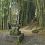 Crystal Castle - Bamboo Avenue