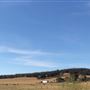 Pambula Area Farms