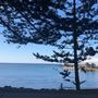 Kiama