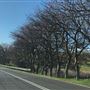 Gerringong