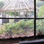 Otford Farm - Paintball Property