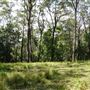 Otford Farm - Jungle Set Build Site