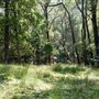 Otford Farm - Jungle Set Build Site