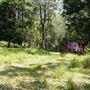Otford Farm - Jungle Set Build Site