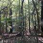 Otford Farm - Jungle Set Build Site