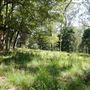 Otford Farm - Jungle Set Build Site