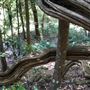 Otford Farm - Jungle Set Build Site