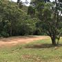 Otford Farm - The Pines Paddock with Jungle Gully