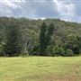 Otford Farm - The Pines Paddock with Jungle Gully