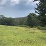 Otford Farm - The Pines Paddock with Jungle Gully