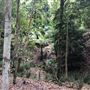 Otford Farm - The Pines Paddock with Jungle Gully