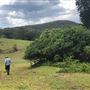 Otford Farm - The Pines Paddock with Jungle Gully