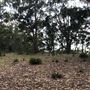 Otford Farm - 40 Acres Paddock