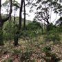Otford Farm - 40 Acres Paddock