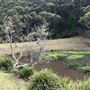Otford Farm - 40 Acres Paddock