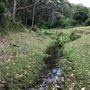 Otford Farm - 40 Acres Paddock