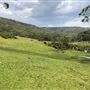 Otford Farm - 40 Acres Paddock