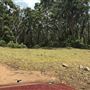 Otford Farm - 40 Acres Paddock