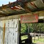 Otford Farm - Horse Farm