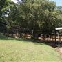 Otford Farm - Horse Farm