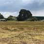 Otford Farm - Crazy T Farm