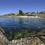 Oak Park Sea Pool