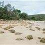 Trial Bay Gaol Campground & Front Beach - Arakoon National Park
