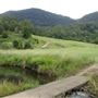 Hidden Creek