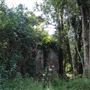 Hidden Creek