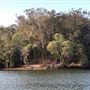 Brunswick River