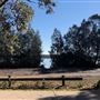 Swan Lake - Swanhaven