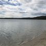 Swan Lake - Swanhaven