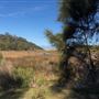 Swan Lake - Swanhaven