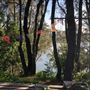Berrara Creek - Conjola National Park