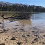 Berrara Creek - Conjola National Park