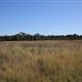 Bungarribee Park  - Western Sydney Parklands