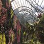 Royal Botanic Garden Sydney