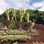 Royal Botanic Garden Sydney
