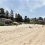 Bilgola Beach