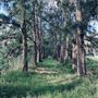 Berry Hill