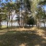 Clarkes Point Reserve