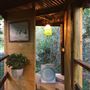 The Rainforest Shed