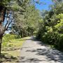 Gap Bluff Watsons Bay NPWS park gate entrance