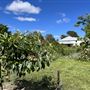 Riversdale Homestead