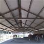 Darkes Forest Ranch
