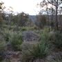 Bungonia National Park