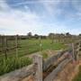 Belgenny Farm