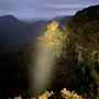 Katoomba Falls Reserve Night-Lit Walk