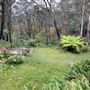 Campbell Rhododendron Gardens