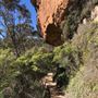 Centennial Glen Walking Track